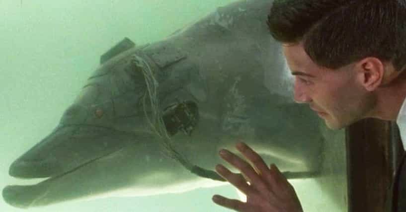 Johnny Mnemonic with the dolphin