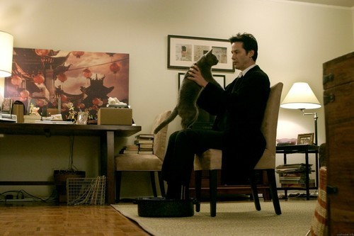 Constantine sitting with a cat