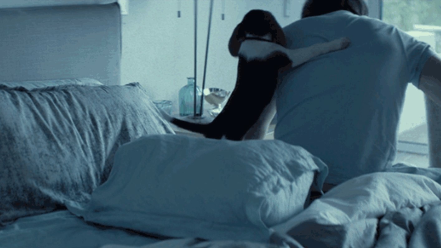 Puppy waking John Wick up